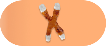 telomere shortening.original 1 937d8e6d