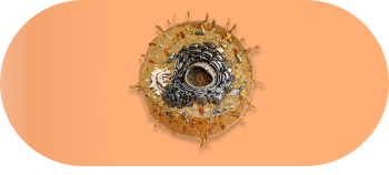 inflammaing.original 9f5787d6