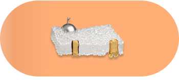 deregulated nutrial sensing.original b192cc39