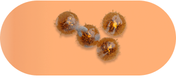 altered cellular communication.original be18335e