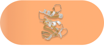 loss of proteostasis.original d156c286