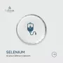 selenium dd91989c