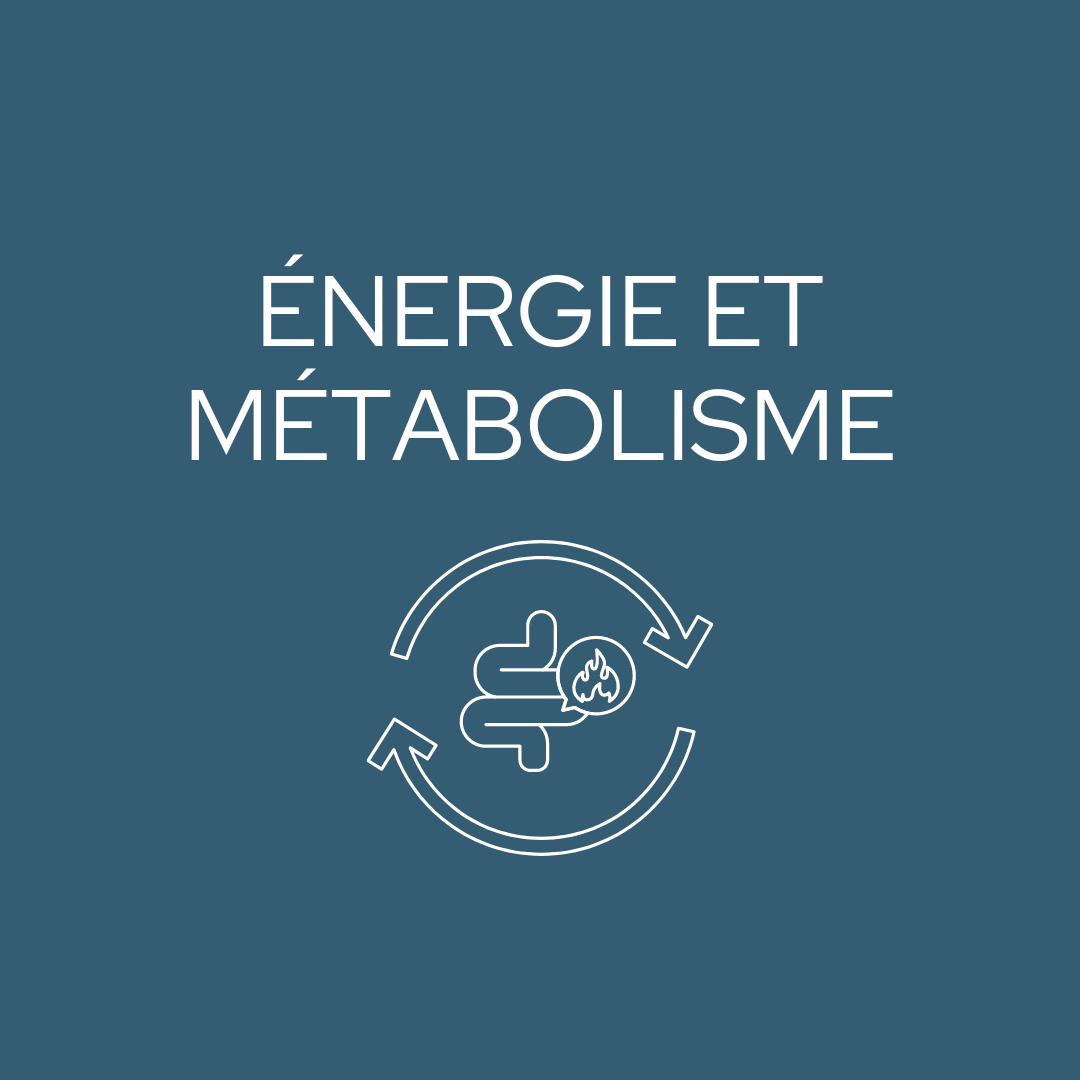 Protegez votre systeme immunitaire 2 1