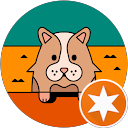 nylan profile picture
