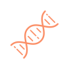 connexion neuronales