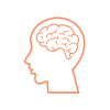 connexion neuronales